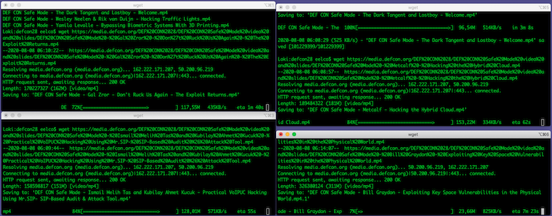 Screenshot of wget commands running